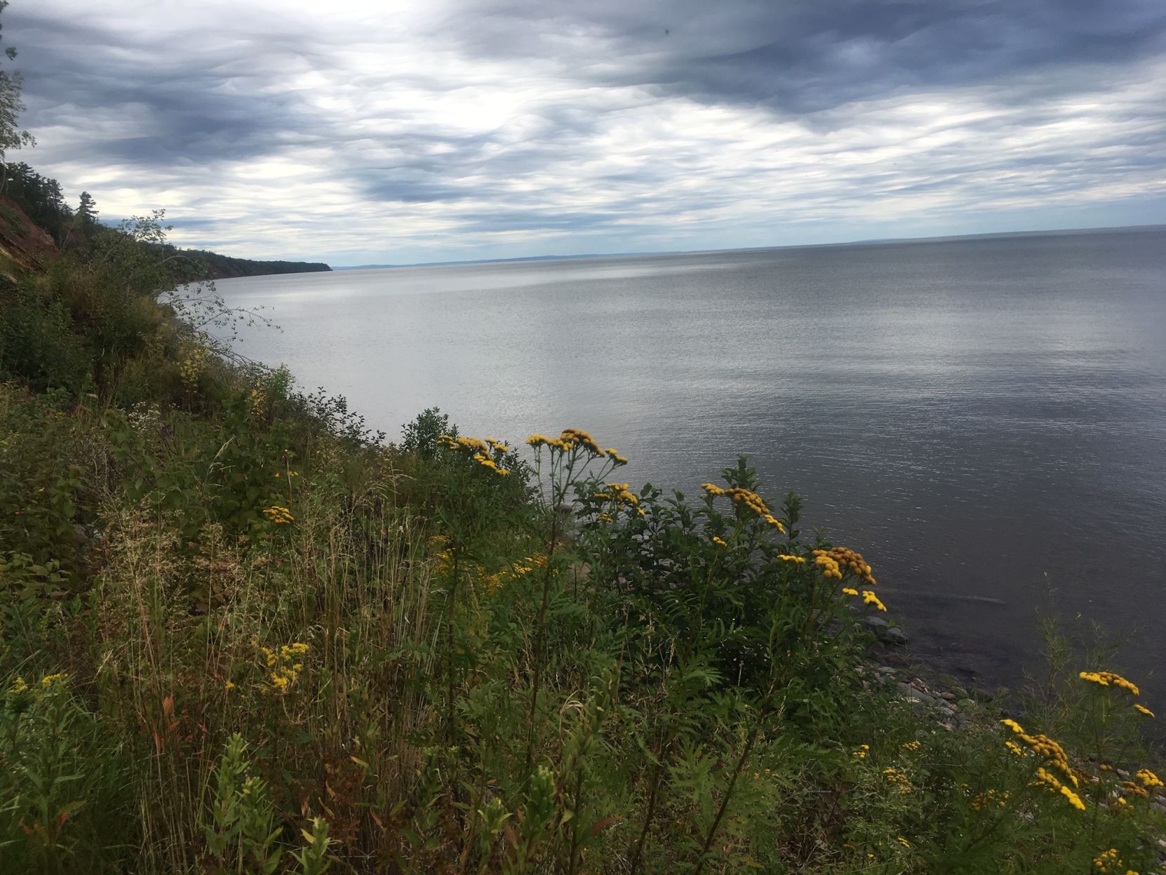 Saxon Harbor